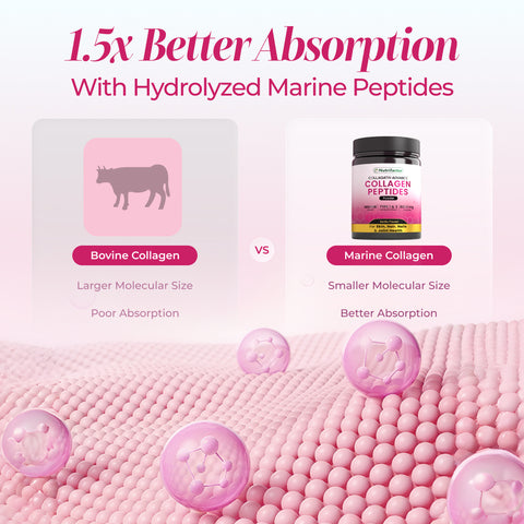 Collagatin Advance Powder